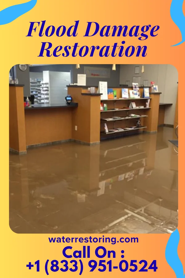 Flood Damage Restoration in Ashton-Sandy Spring, MD