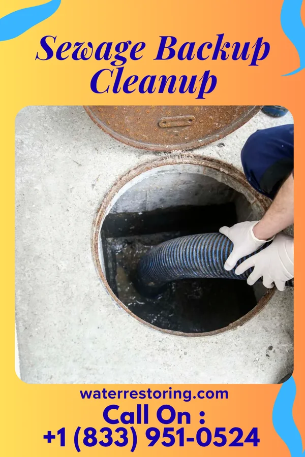 Sewage Backup Cleanup in Ashton-Sandy Spring, MD
