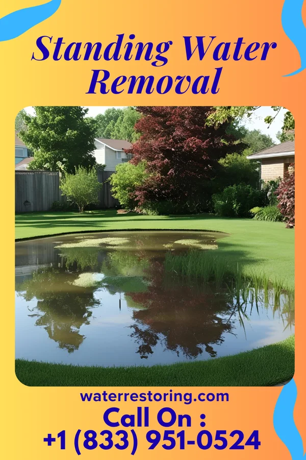 Standing Water Removal in Ashton-Sandy Spring, MD